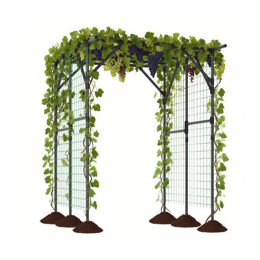 Large Garden Arch Trellis for Climbing Plants Outdoor Grape Vine Support, Black Outdoor Decor Black at Gallery Canada
