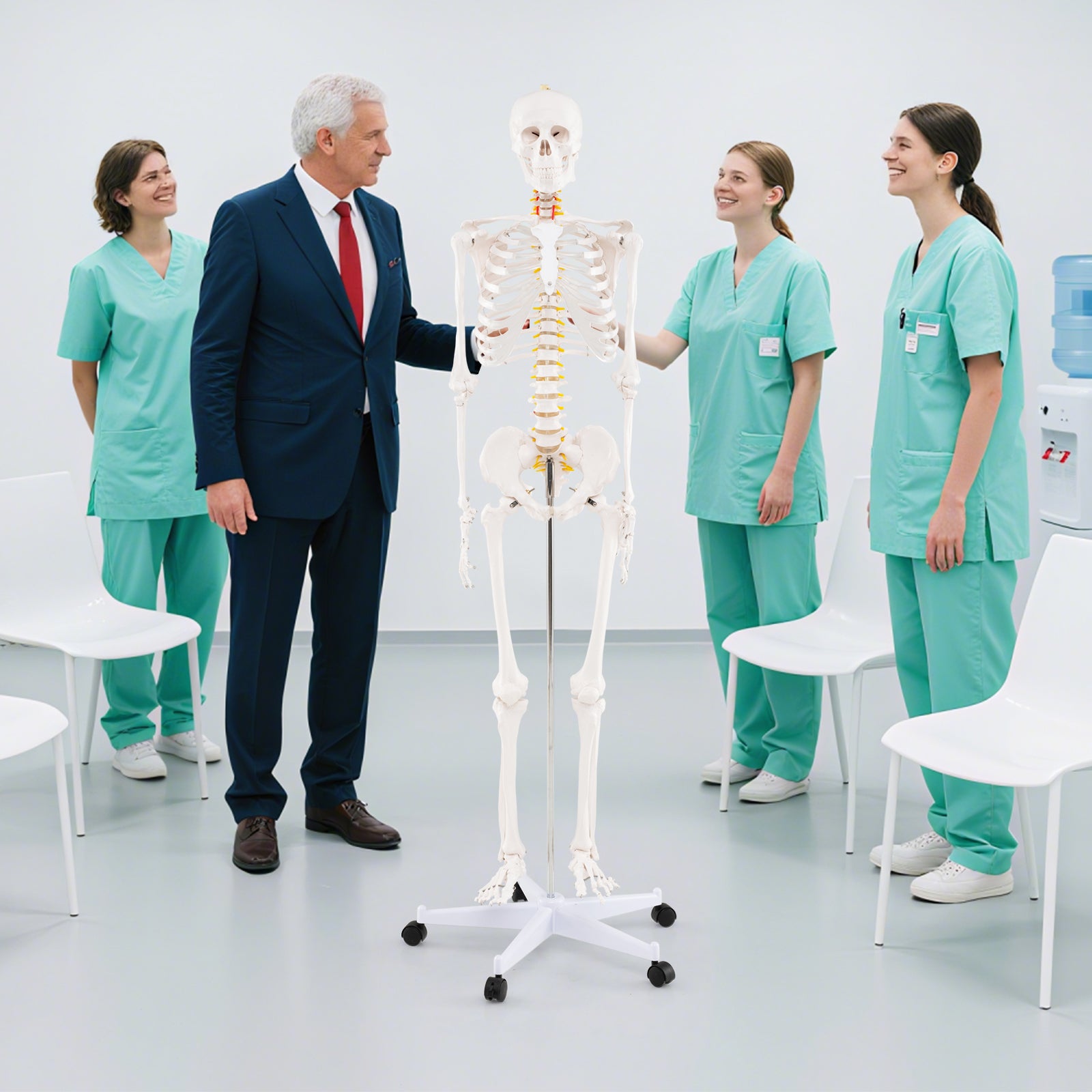 Life Size Human Skeleton Model, Anatomy Anatomical With Nerves System Halloween at Gallery Canada