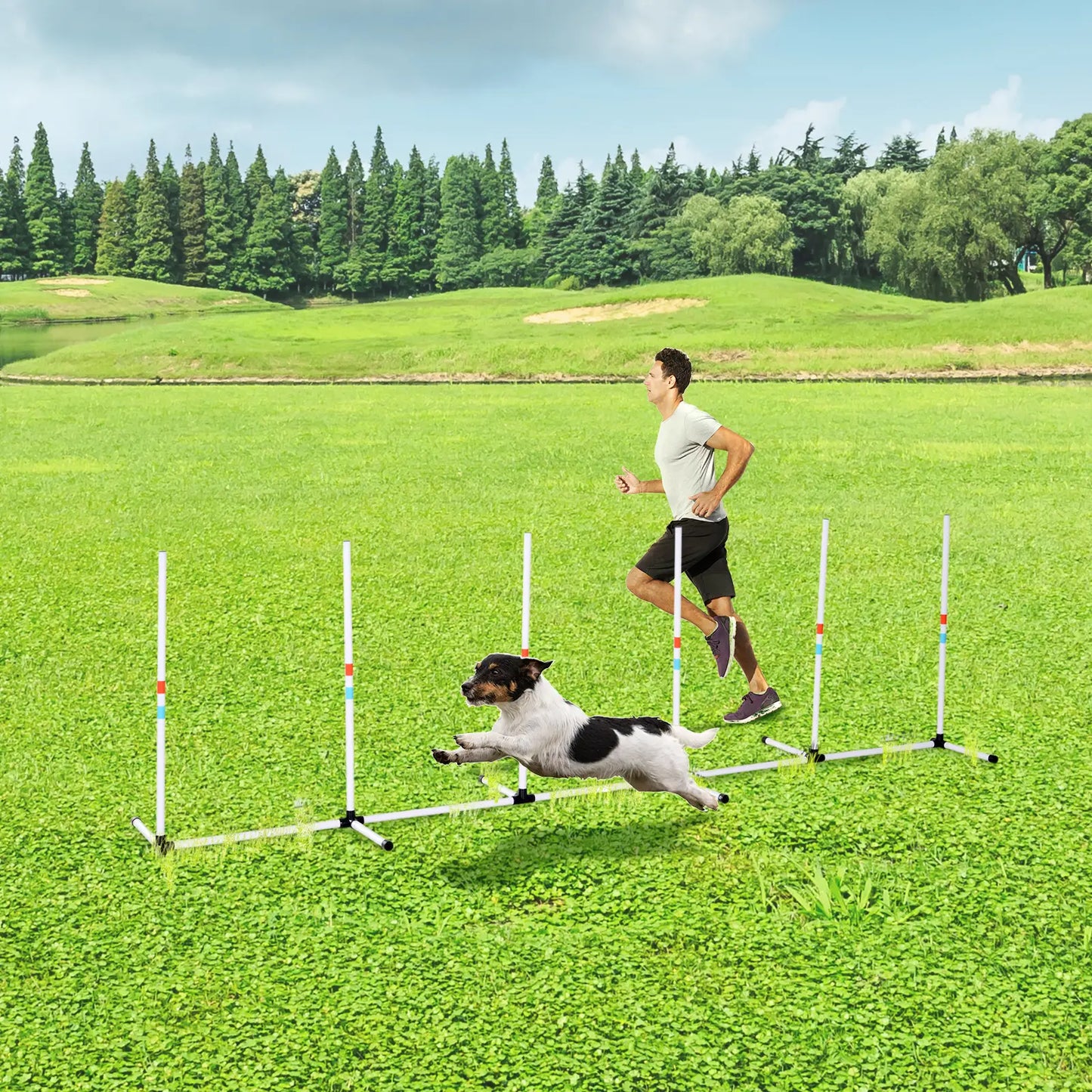 Adjustable Dog Agility Set, Weave Poles, Storage Bag, White Dog Agility Training Equipment at Gallery Canada