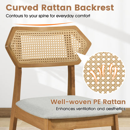 Mid Century Rattan Dining Chairs Set of 2, Natural Dining Chairs at Gallery Canada