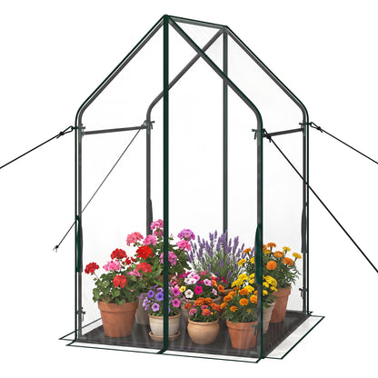 Mini House With Metal Frame, Transparent, L, Green Greenhouses Transparent at Gallery Canada