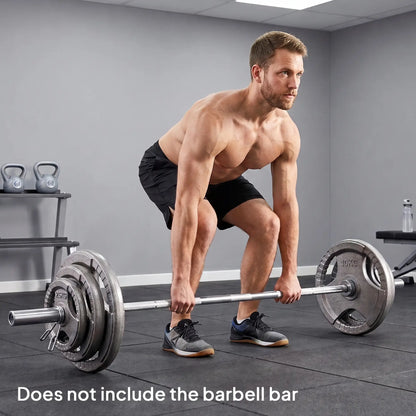 6 PCS Weight Plates, Grip Plate Set, Strength Training, 77 Lbs Dumbbells & Barbells at Gallery Canada