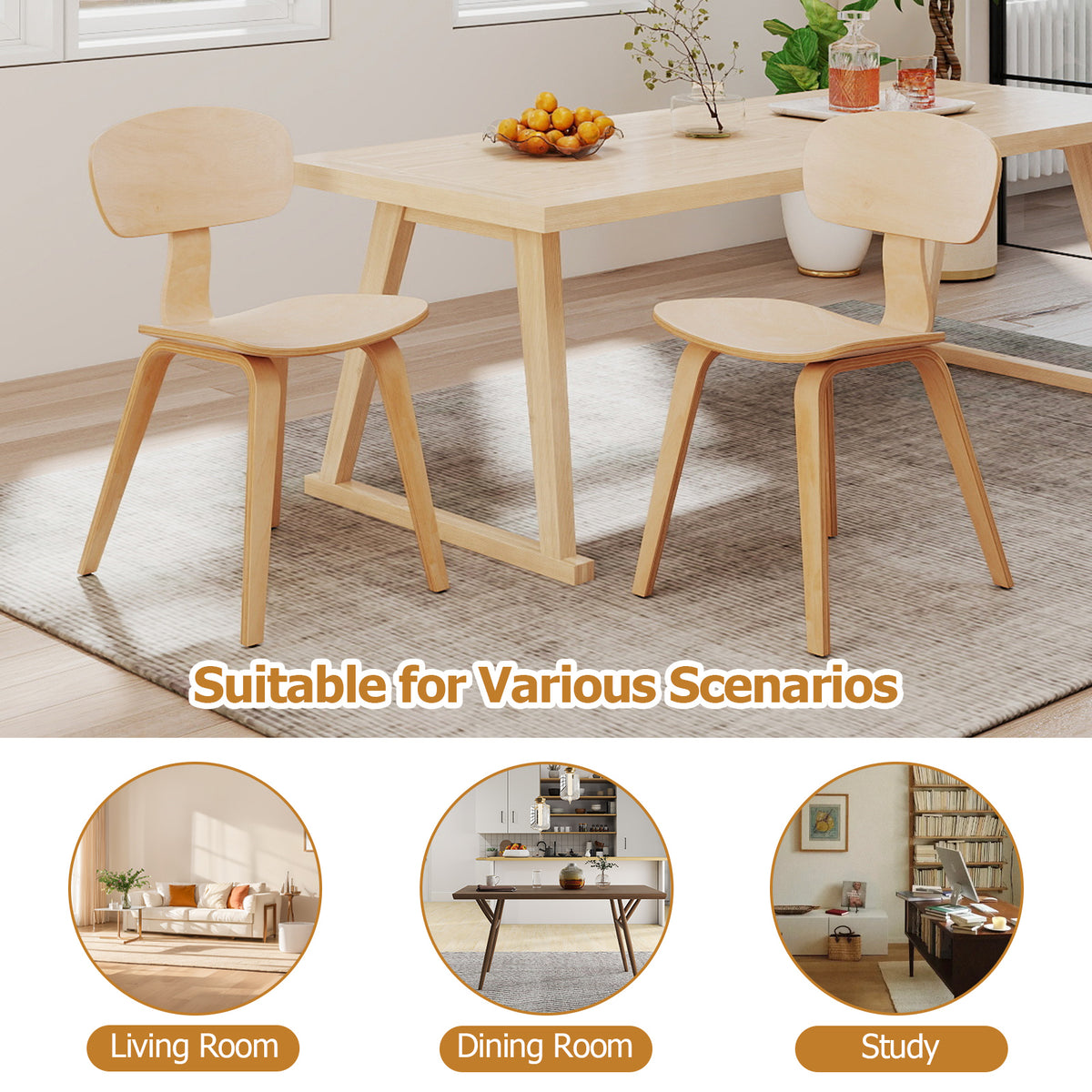 Modern Dining Chair Set of 2, Wide Seat, Natural Dining Chairs at Gallery Canada