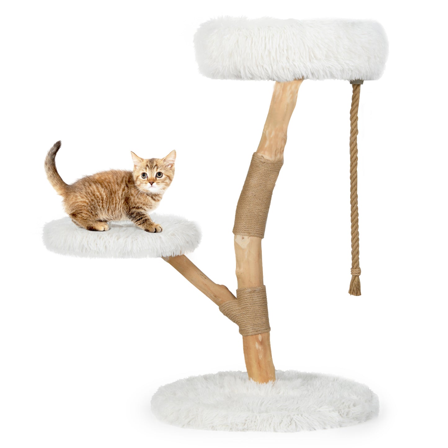 Wooden Cat Tree Tower With Perch, Jute Scratching Posts, White Cat Trees Condos & Scratchers at Gallery Canada