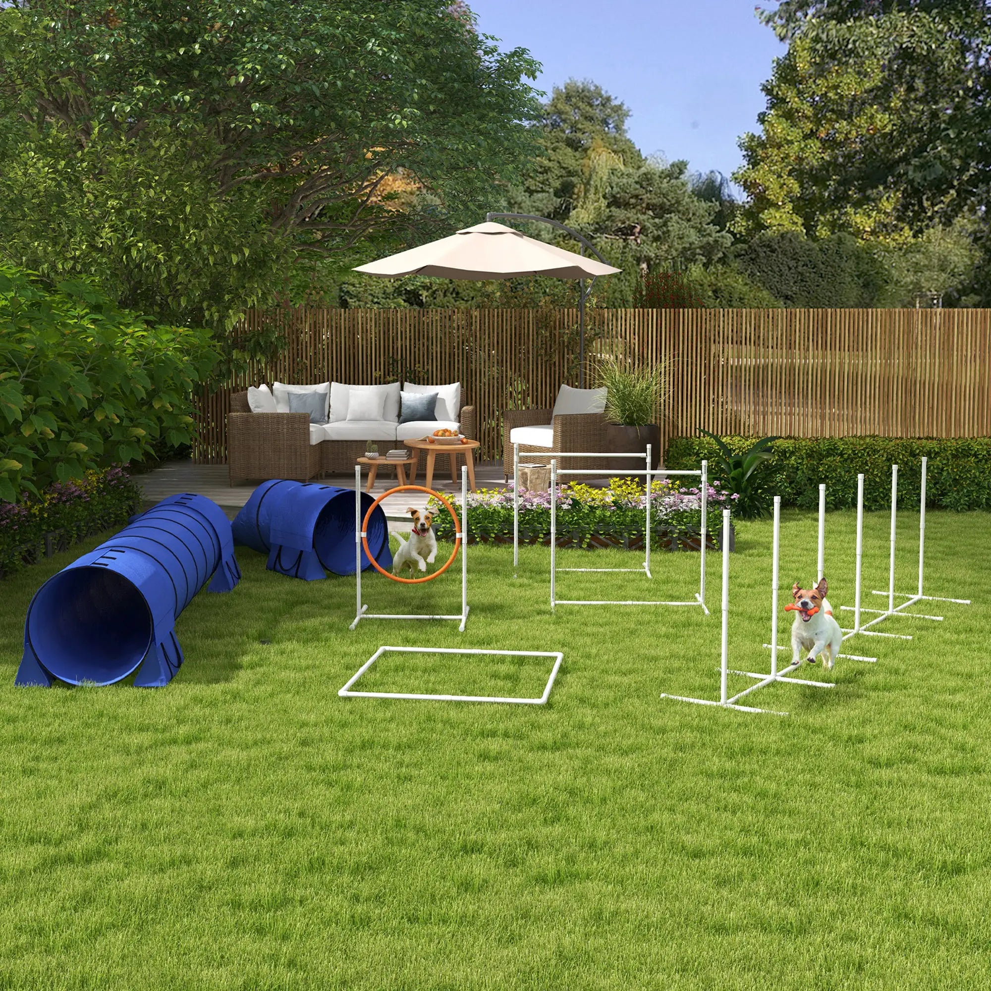7 Pcs Dog Agility Kit, Tunnels, Weave Poles, Adjustable Hurdles, Blue Dog Agility Training Equipment at Gallery Canada