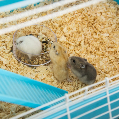 23" Large Hamster Cage, Small Animal House, 5-Level, Light Blue Hamster Cages at Gallery Canada