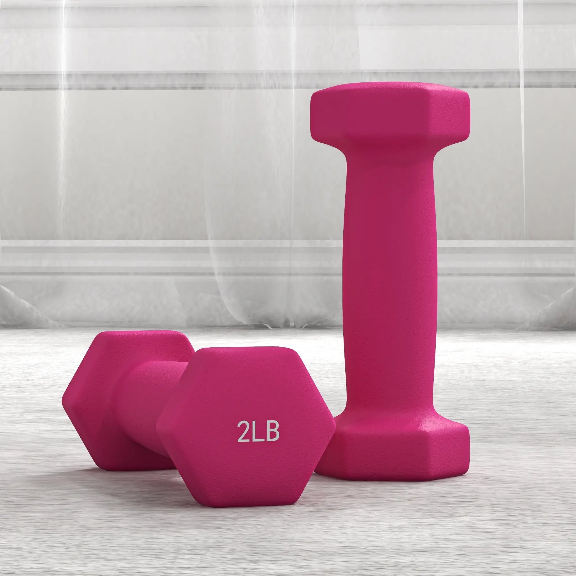 2 x 2 lbs., 2 x 3 lbs., 2 x 5 lbs. Dumbbells Set, Hand Weights for Gym Dumbbells & Barbells at Gallery Canada