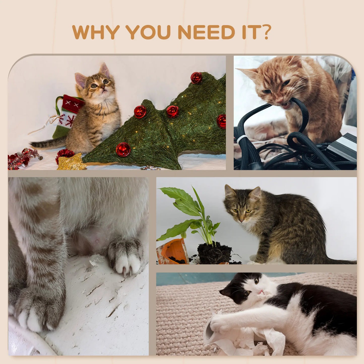 Cat Wall Shelf with Washable Cushion, Wall Mounted Cat Condo, Beige Cat Climbing Wall at Gallery Canada