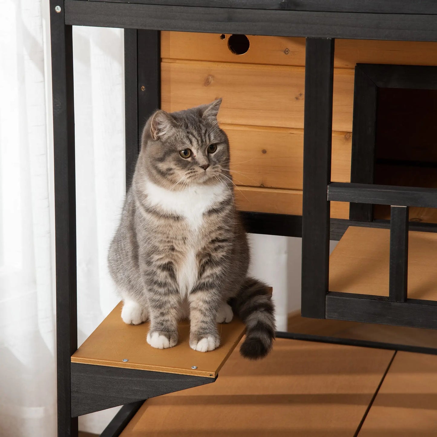 4-Floor Wood Outdoor Cat House, Condo, Fun Entrances, Perch, Natural Cat Houses at Gallery Canada