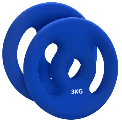 2 x 6.6lbs Weight Plates, 1" Holes, Easy-Grip Handles, Gym, Home Dumbbells & Barbells at Gallery Canada