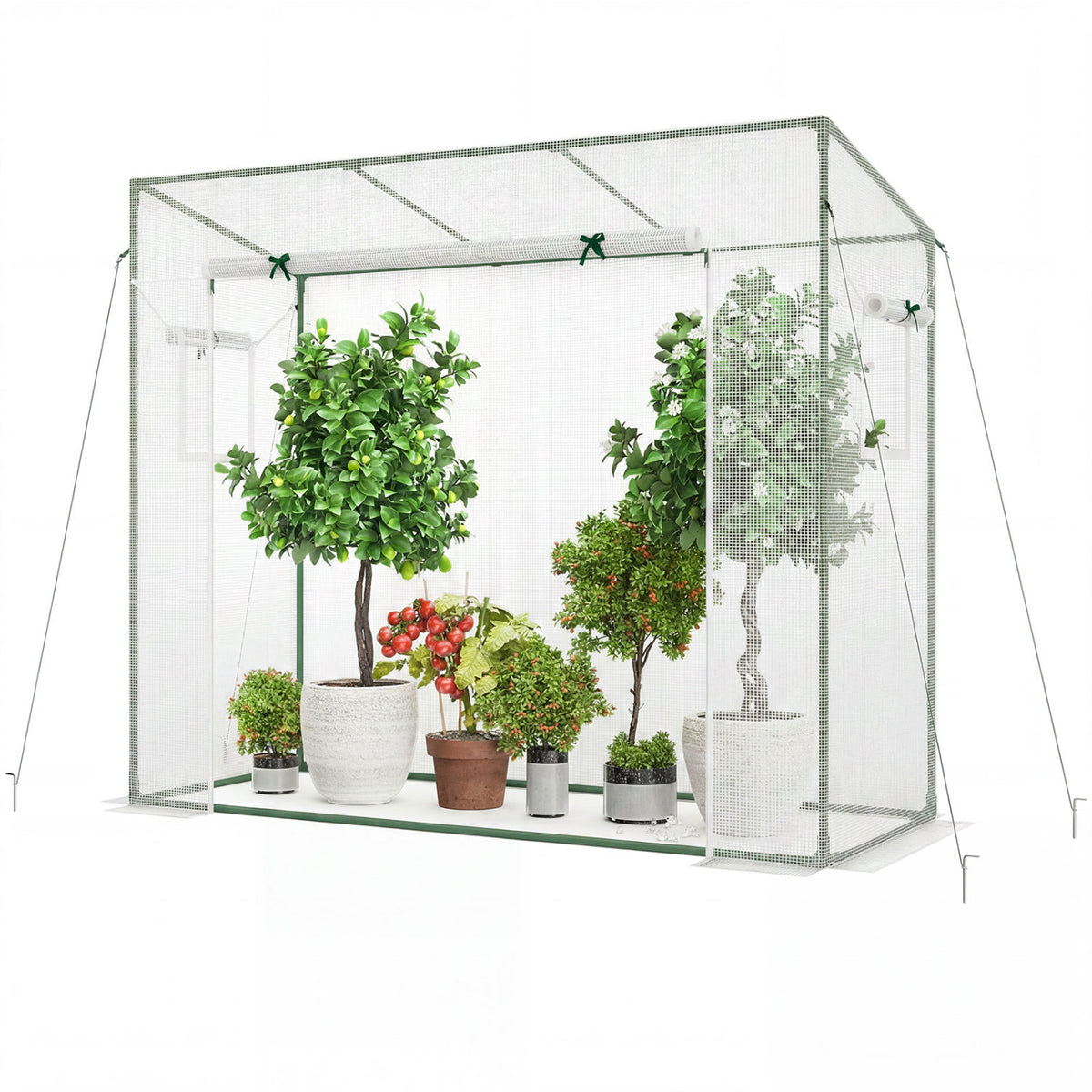 Outdoor Walk-in Greenhouse, PE Cover, Roll-up Zipper Door, White Greenhouses at Gallery Canada