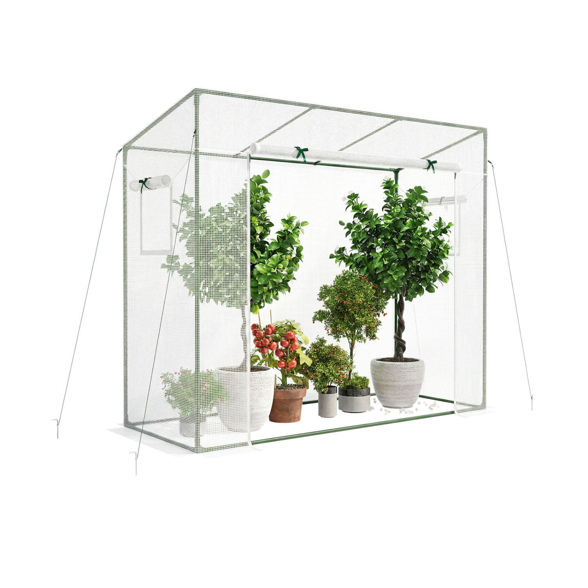 Outdoor Walk-in Greenhouse, PE Cover, Roll-up Zipper Door, White Greenhouses at Gallery Canada