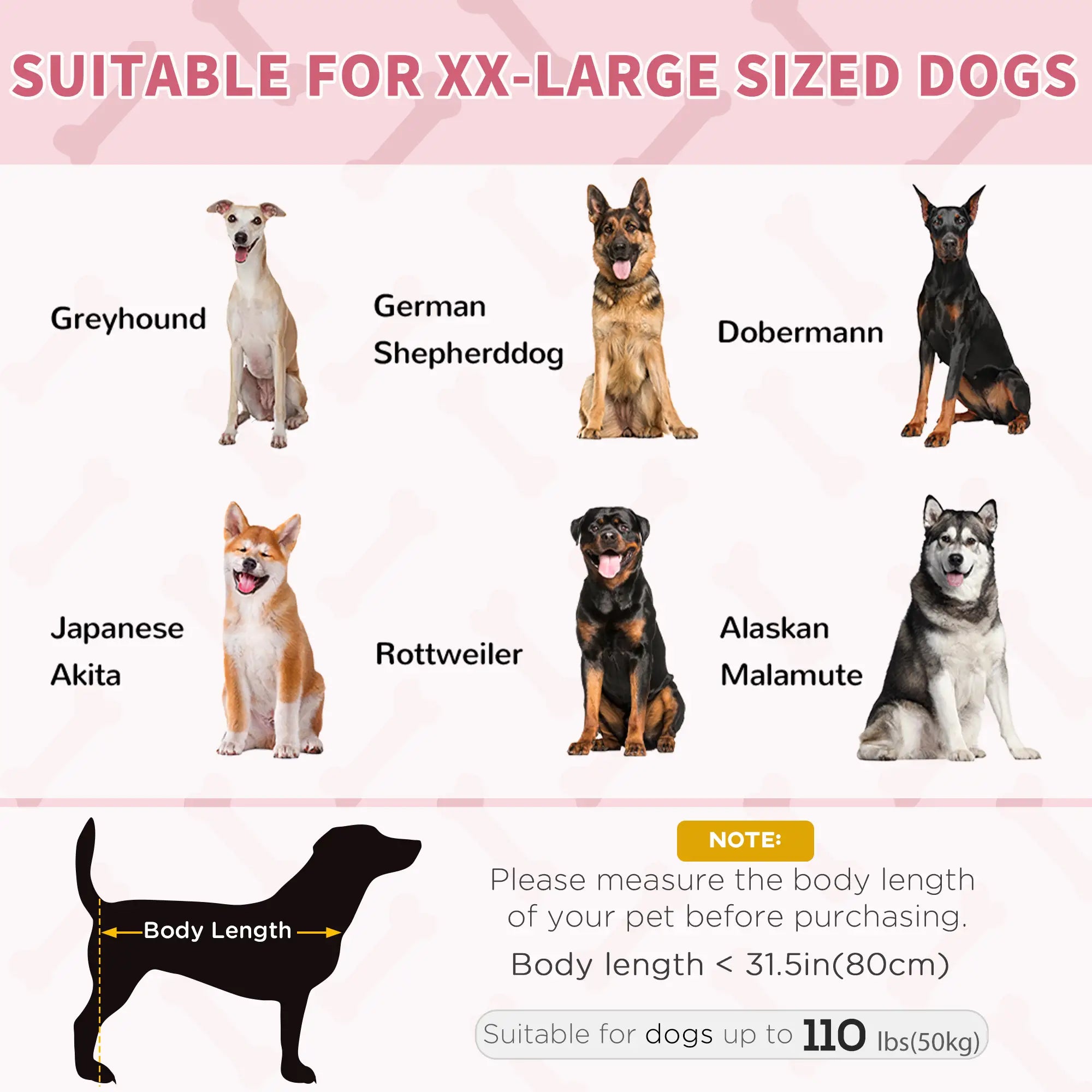 Elevated Dog Bed, Raised Dog Cot, XL 48