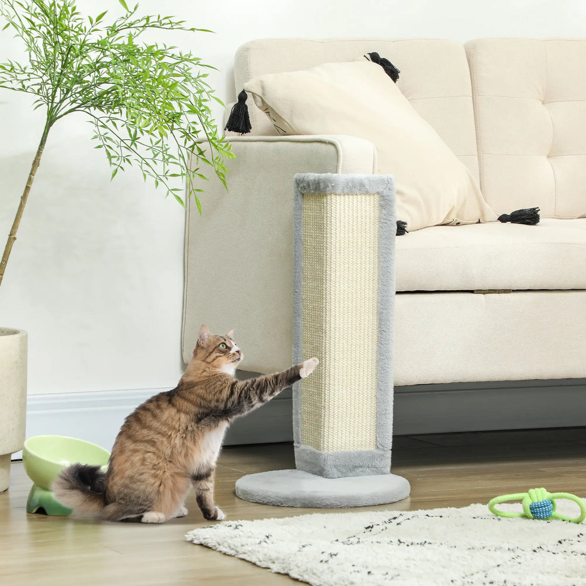 Cat Scratching Post for Indoor Kittens, 22"H, Sisal Pad, Stable Base Cat Posts at Gallery Canada