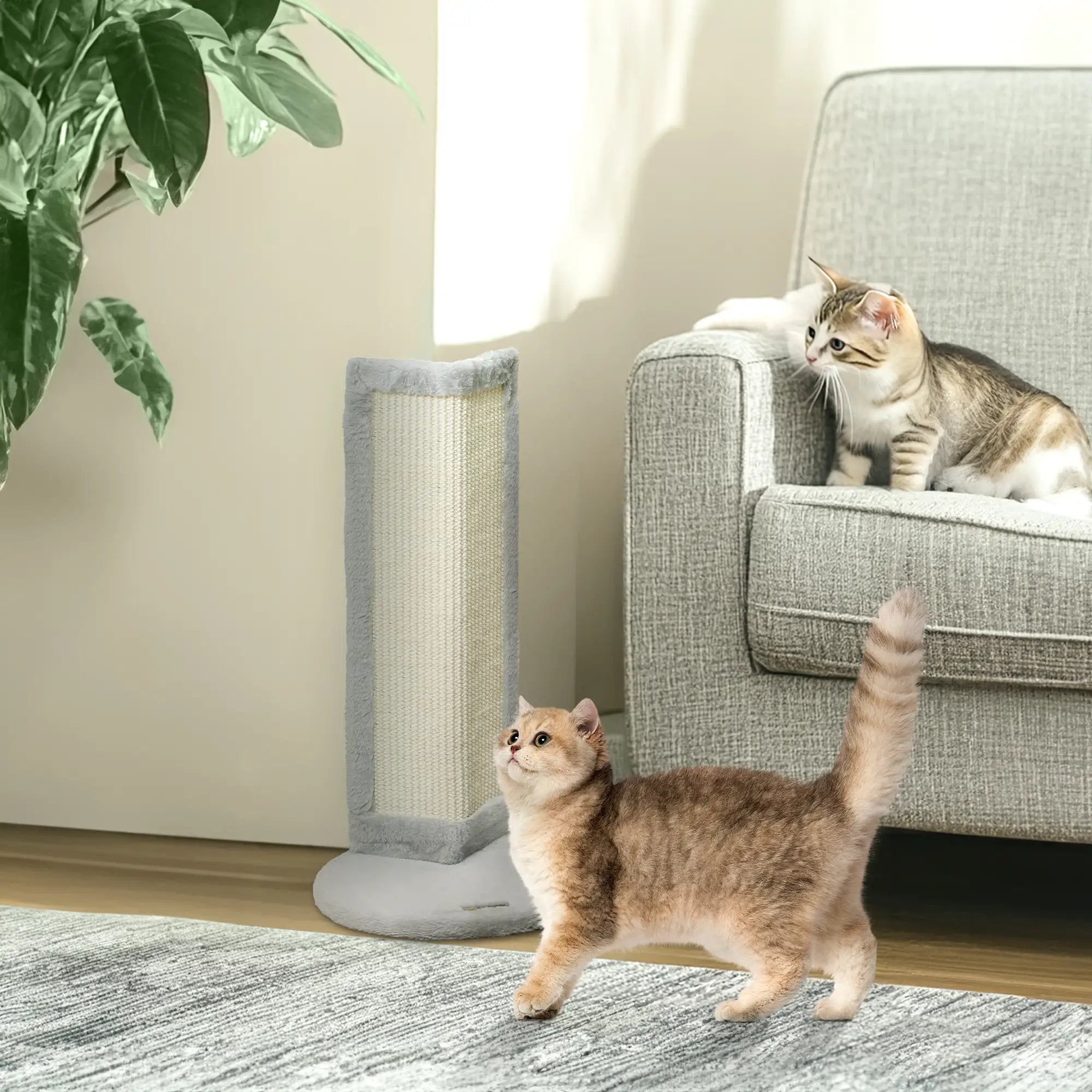 Cat Scratching Post for Indoor Kittens, 22