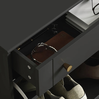 Slim Shoe Storage, 2 Flip Drawers, Adjustable Shelves, 8 Pair, Black Shoe Storage Cabinets & Racks at Gallery Canada