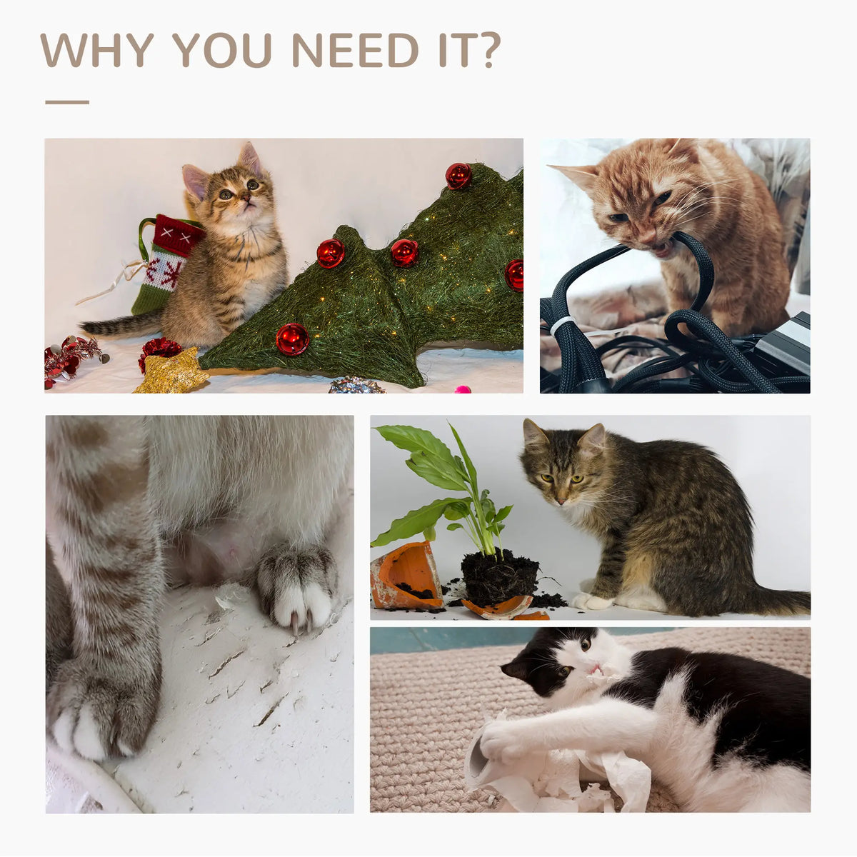 31" Tall Cat Scratching Post, Hanging Balls, Grooming Brushes, Grey Cat Posts at Gallery Canada