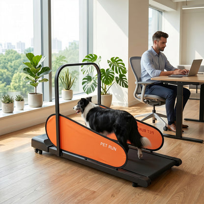 Pet Treadmill for Small & Medium Dogs with LED Display and Adjustable Speed, Black Dog Supplies at Gallery Canada
