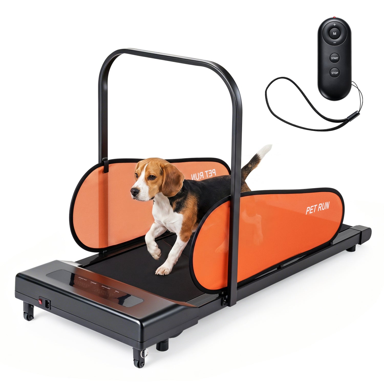 Pet Treadmill for Small & Medium Dogs with LED Display and Adjustable Speed, Black Dog Supplies at Gallery Canada