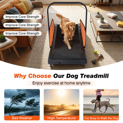 Pet Treadmill for Small & Medium Dogs with LED Display and Adjustable Speed, Black Dog Supplies at Gallery Canada