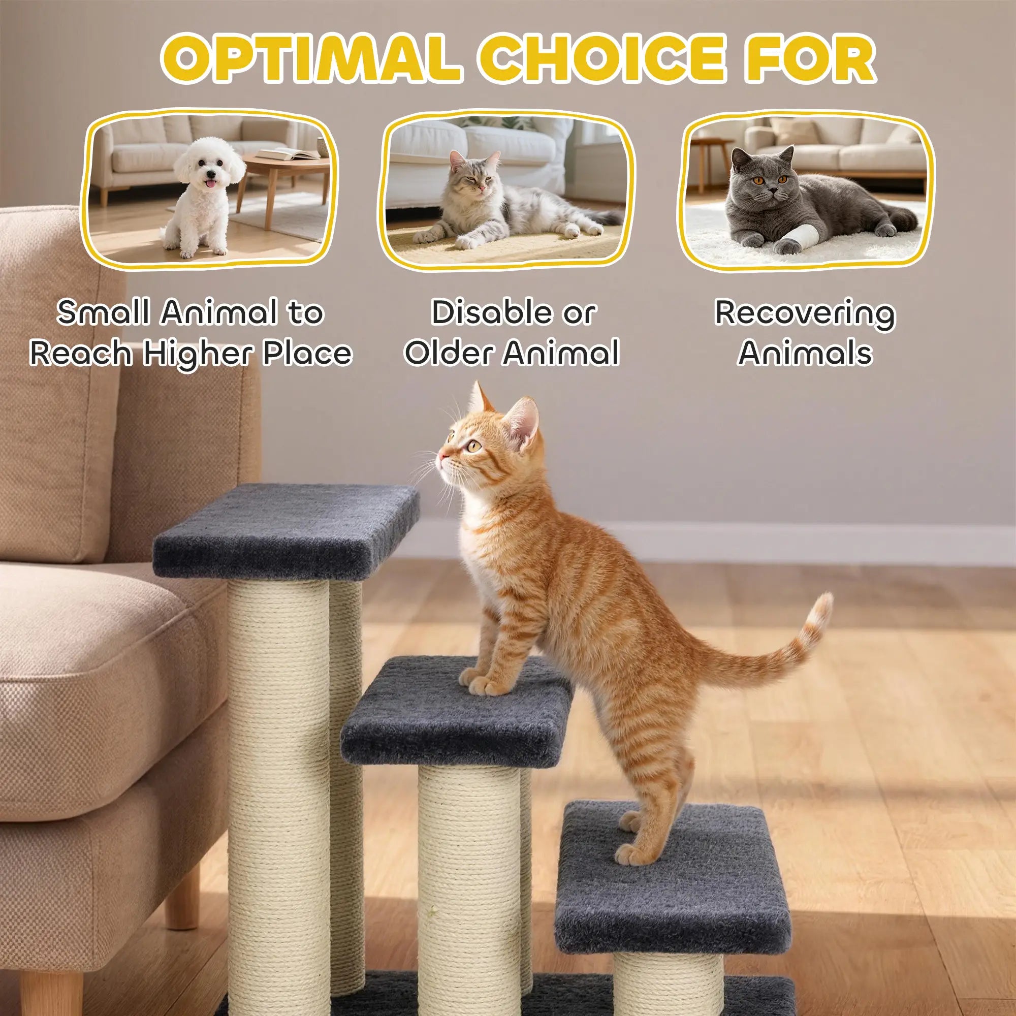 Cat Trees 3 Tier Pet Stairs, Dog Cat Steps Scratching Post, Dark Grey Dog Stairs at Gallery Canada