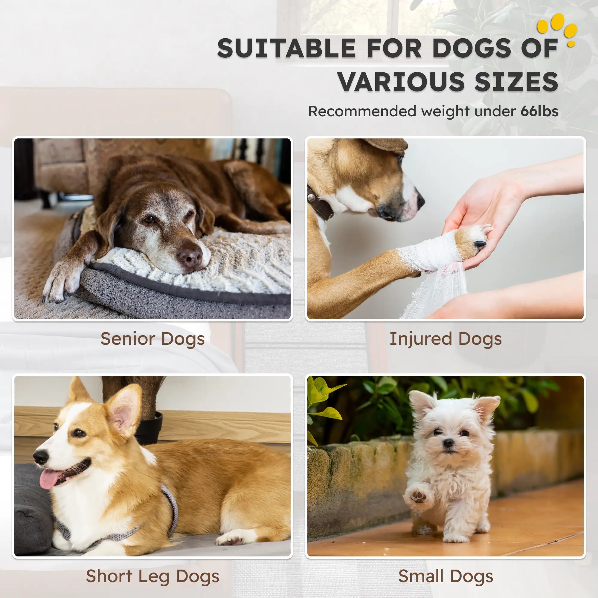 Wooden Dog Ramp, 49