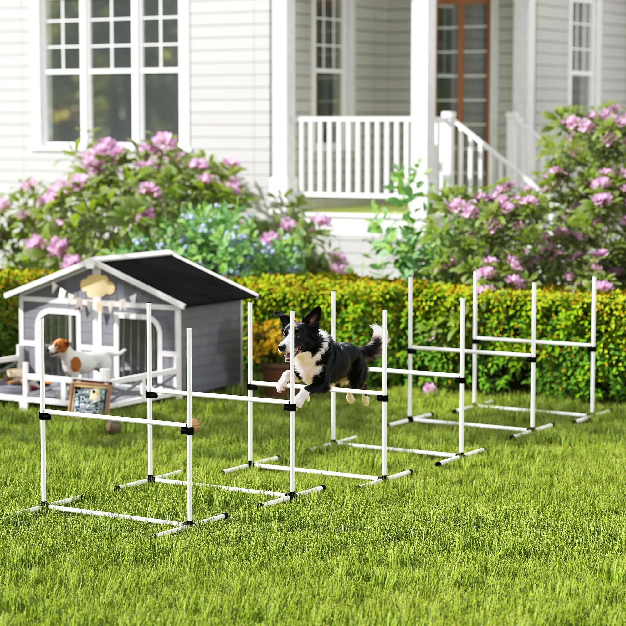 6 Pc Dog Agility Training Kit, Adjustable Jump Bar, White Dog Agility Training Equipment at Gallery Canada