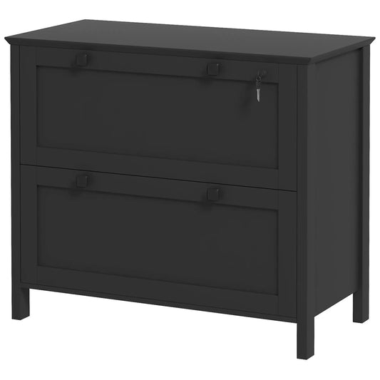 2 Drawer File Cabinet, Lockable, Adjustable Hanging Bar, Letter, A4, Legal Size, Black Office Cabinets & Cupboards Black at Gallery Canada