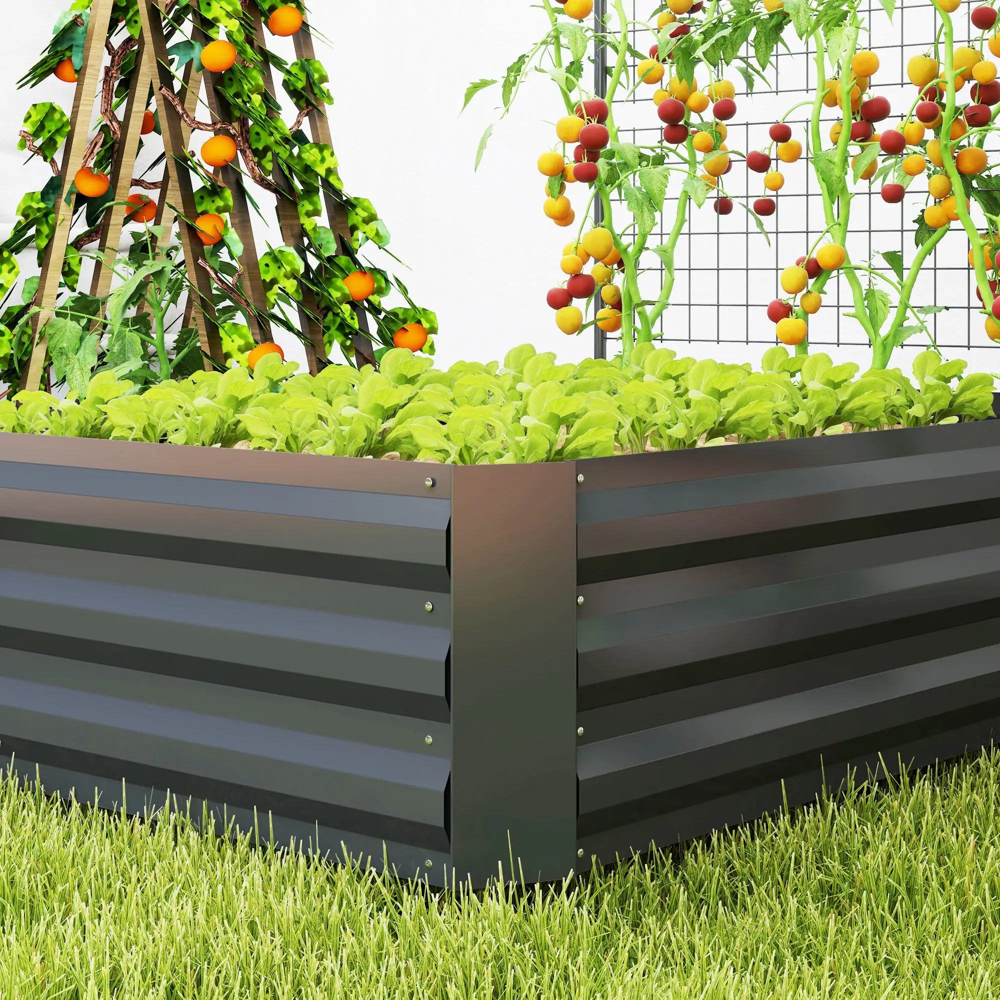 Galvanized Raised Garden Bed, Trellis for Climbing Plants, Dark Grey Raised Garden Beds at Gallery Canada