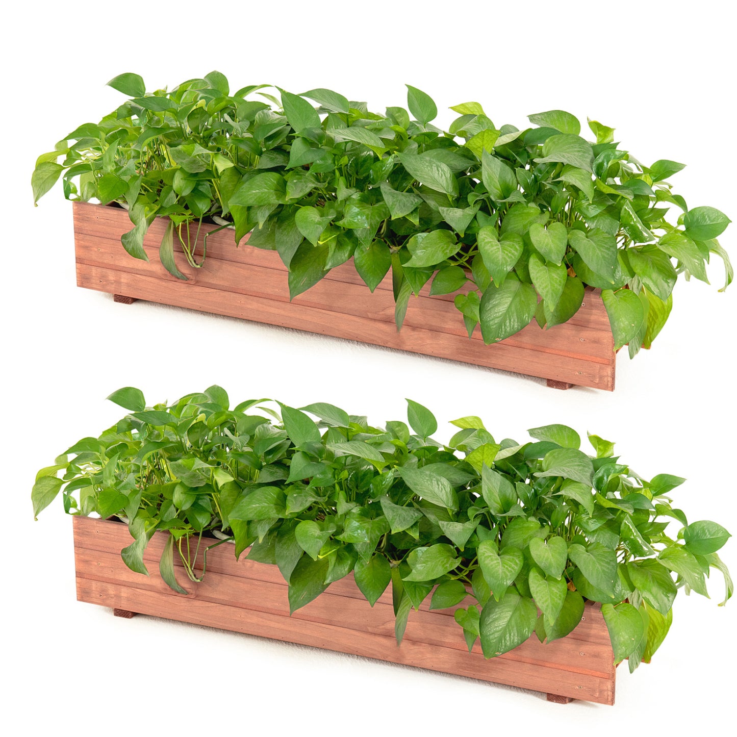 Set Of 2 Wooden Raised Garden Bed, Brown Raised Garden Beds Brown at Gallery Canada