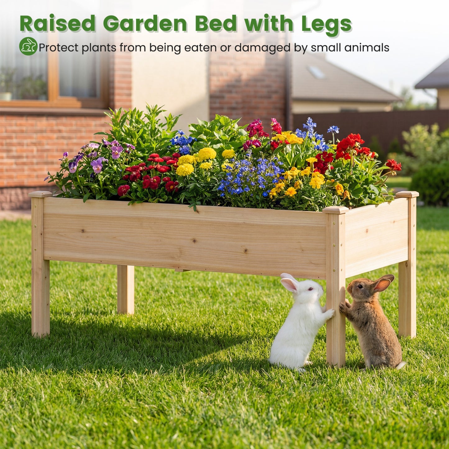 Wooden Raised Garden Bed Set, 2 Elevated Planter Boxes, Natural Fir Wood Raised Garden Beds at Gallery Canada