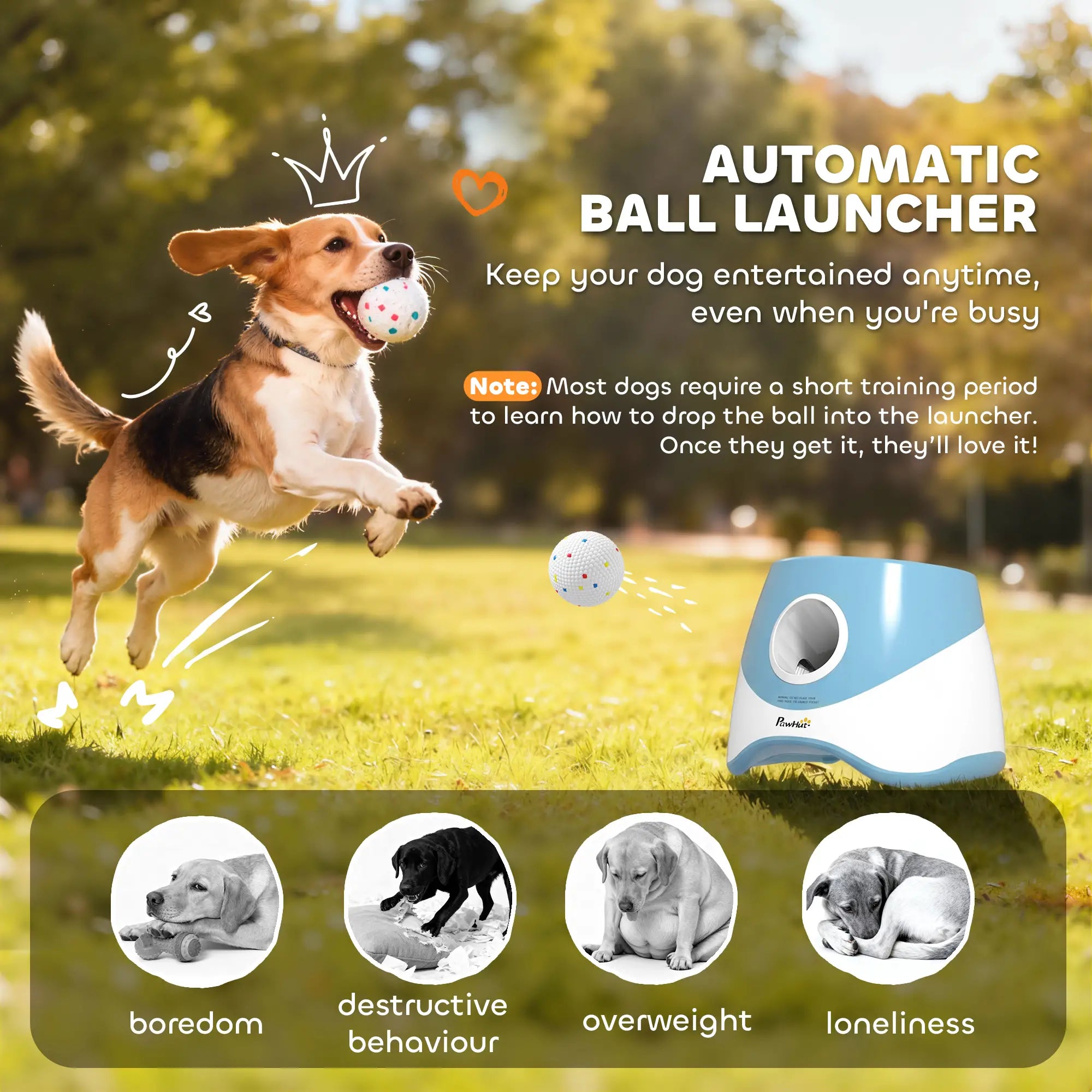 Automatic Dog Ball Launcher With 5 ETPU Balls, Blue Dog Agility Training Equipment at Gallery Canada