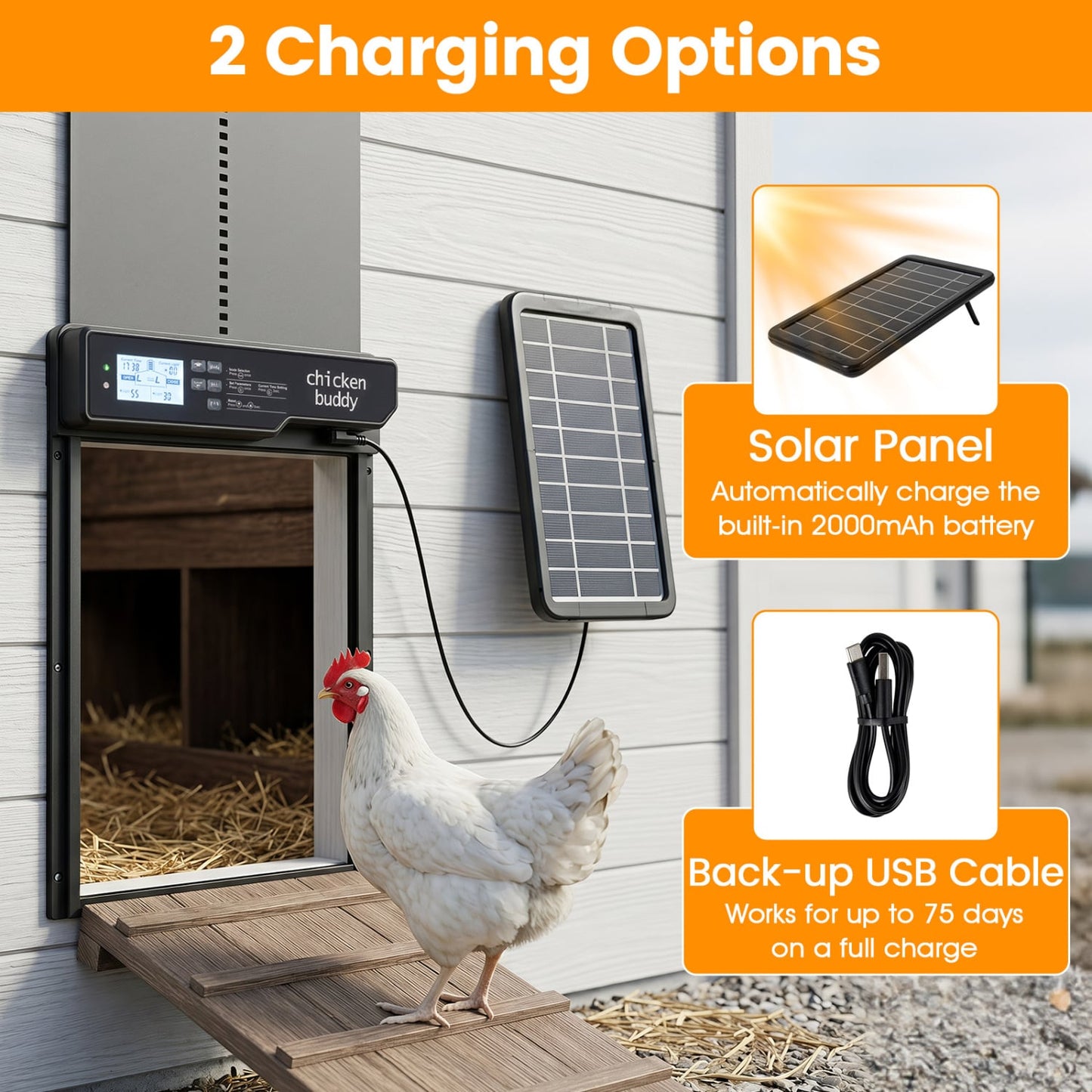 Solar Automatic Chicken Coop Door Chicken Coops at Gallery Canada