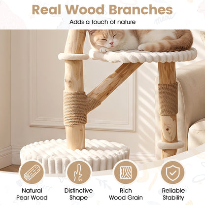 Arbre à chat en bois massif 41", beige