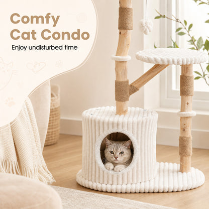 Arbre à chat en bois massif 41", beige