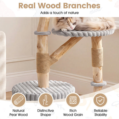 Solid Wood Cat Tree 41 Inch with Scratching Posts, Gray
