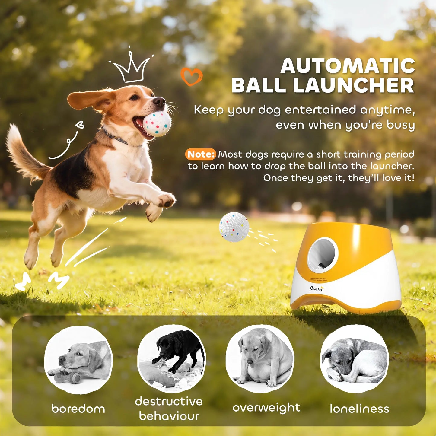 Automatic Dog Ball Launcher With 5 Etpu Balls, Orange Dog Agility Training Equipment at Gallery Canada