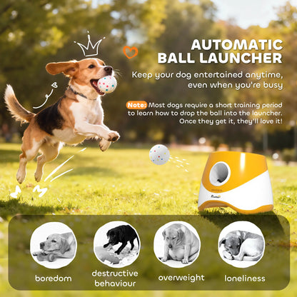 Automatic Dog Ball Launcher With 5 Etpu Balls, Orange Dog Agility Training Equipment at Gallery Canada