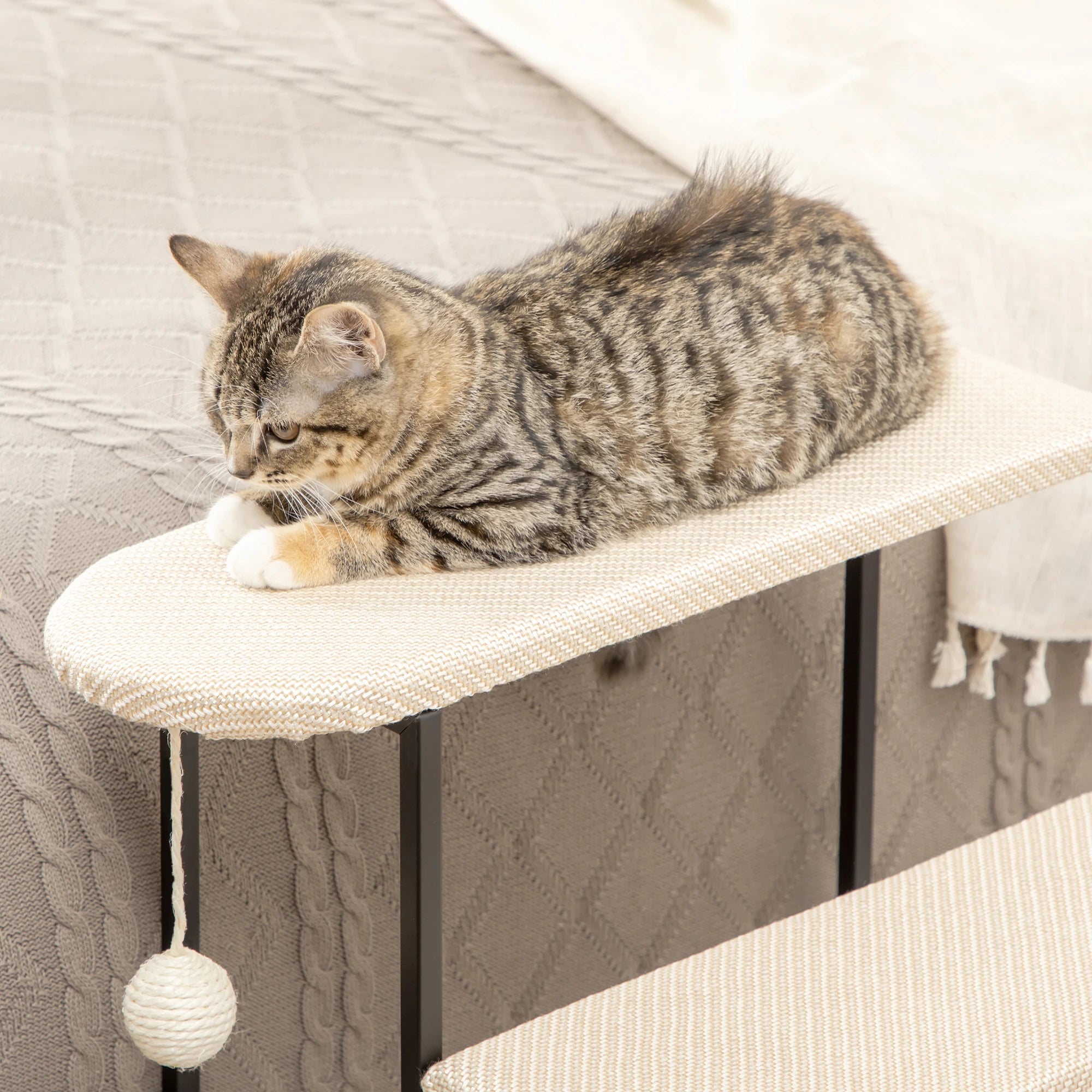 20 3-Step Cat Stairs, Carpeted Ladder Ramp, Scratching Board, Cream White Dog Stairs at Gallery Canada