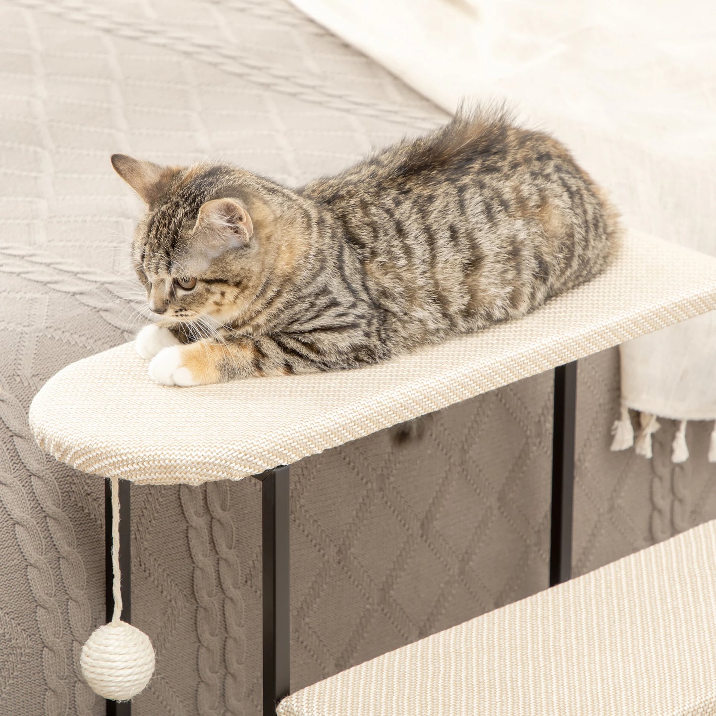 20 3-Step Cat Stairs, Carpeted Ladder Ramp, Scratching Board, Cream White Dog Stairs at Gallery Canada