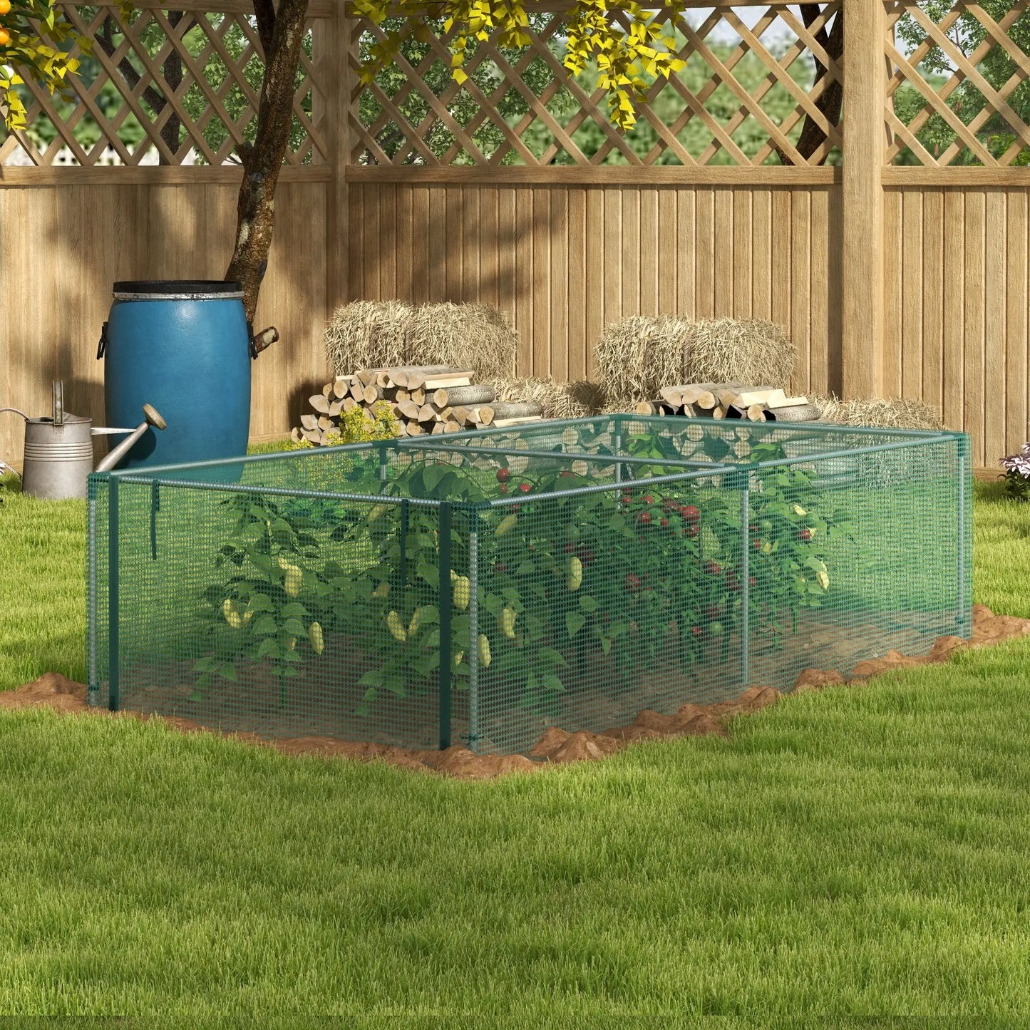 8.1' x 4.1' Plant Protection Cage, Zipper Roll-Up Door, Galvanised Steel Frame Greenhouses at Gallery Canada