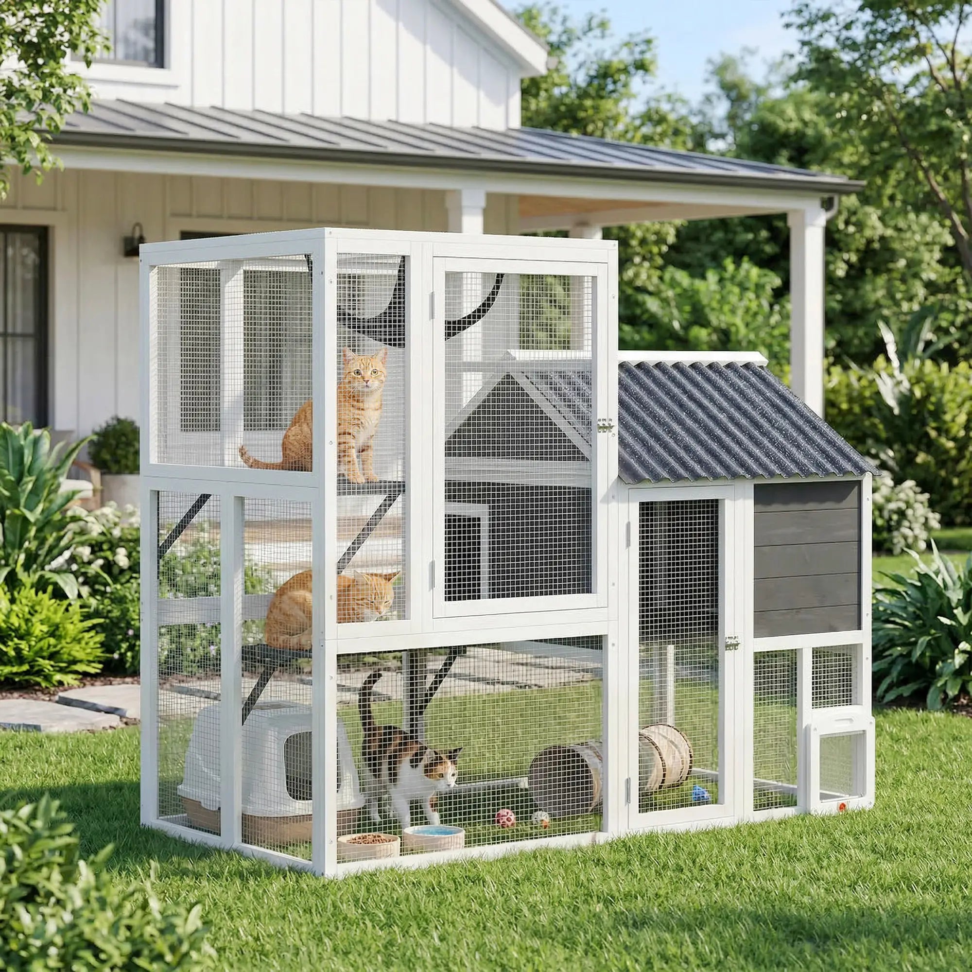 Large Catio, 63