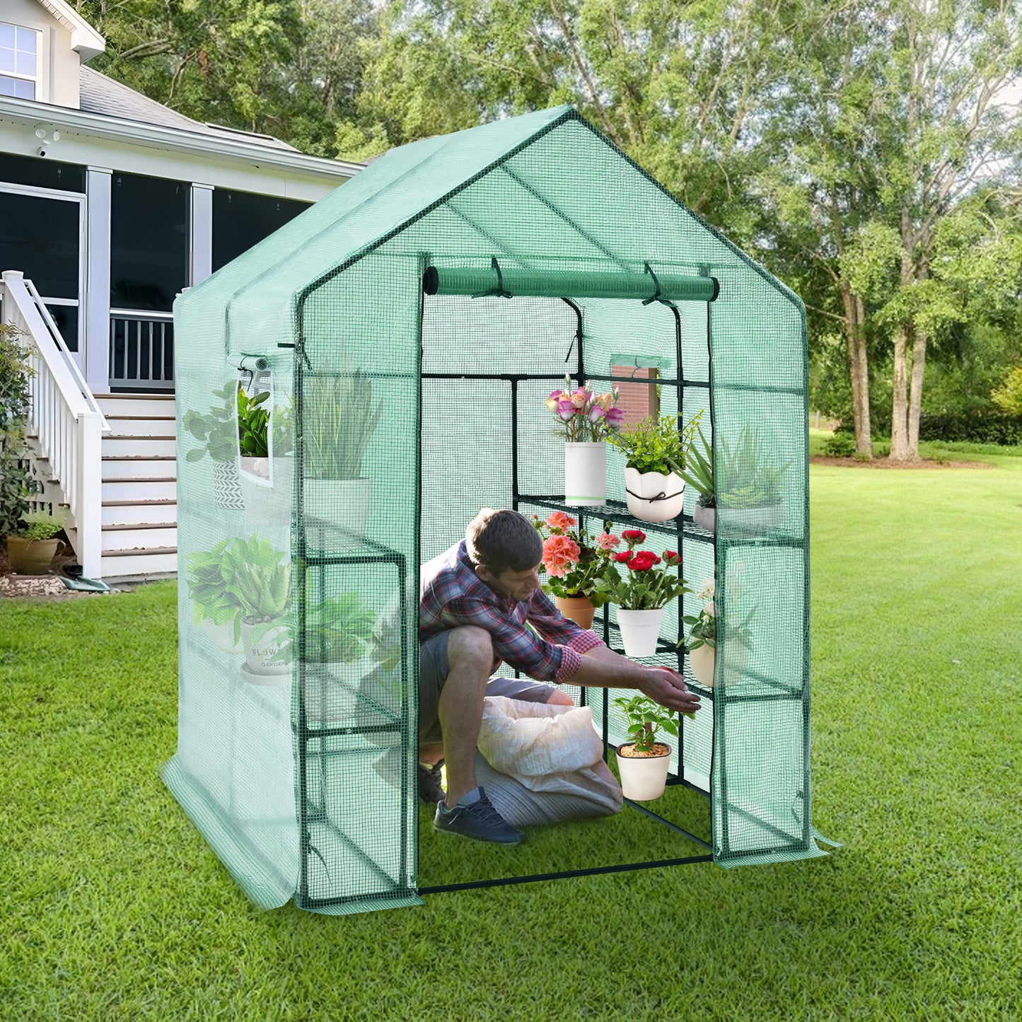 Walk-In Greenhouse, 56 x 56 x 77 Inch, Observation Windows, Green Greenhouses at Gallery Canada