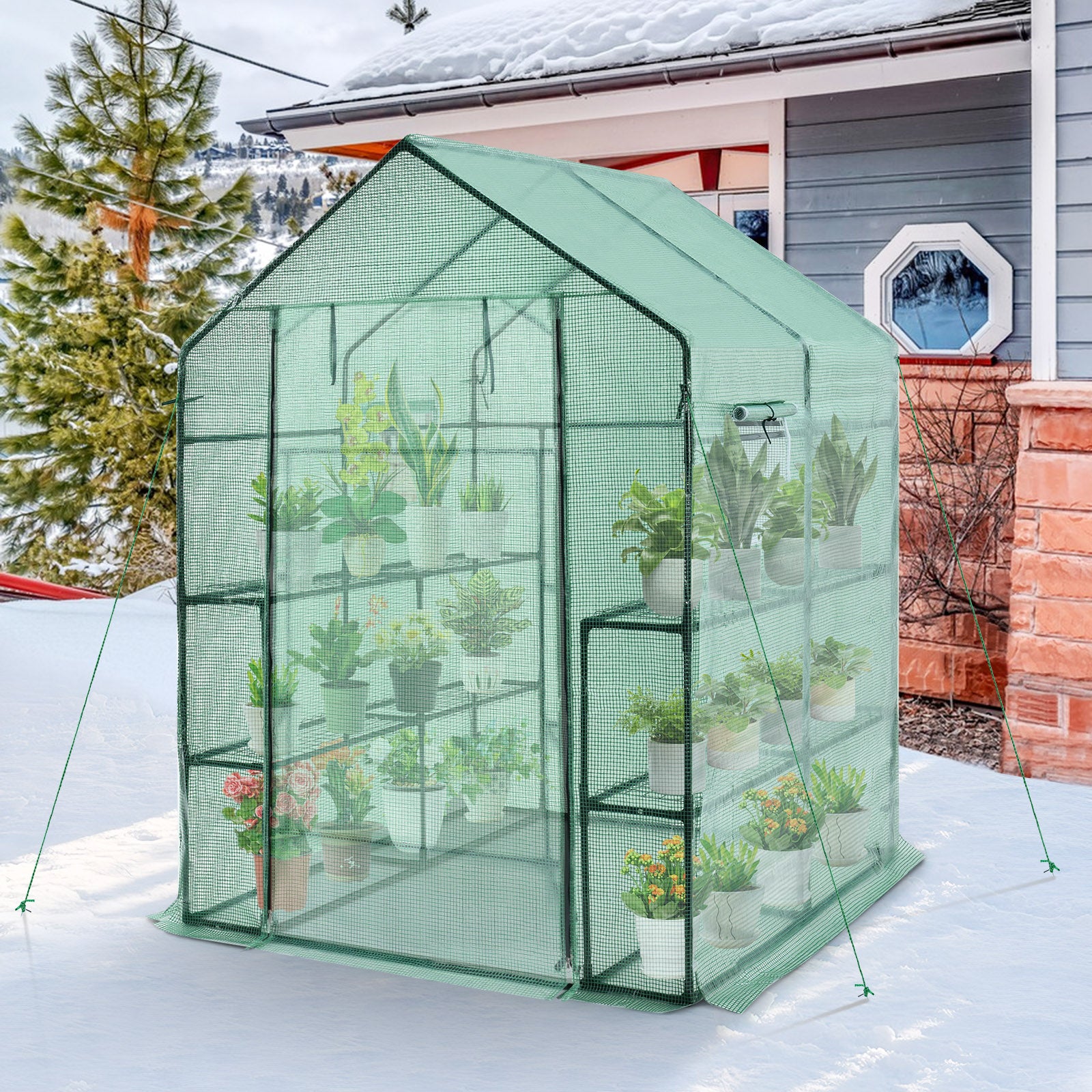 Walk-In Greenhouse, 56 x 56 x 77 Inch, Observation Windows, Green Greenhouses at Gallery Canada