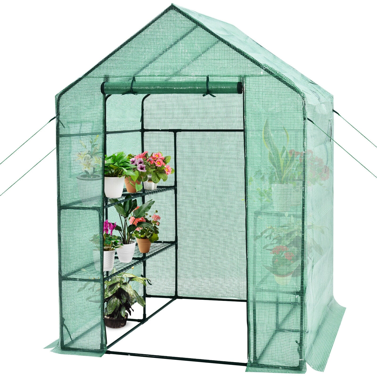 Walk-In Greenhouse, 56 x 56 x 77 Inch, Observation Windows, Green Greenhouses at Gallery Canada