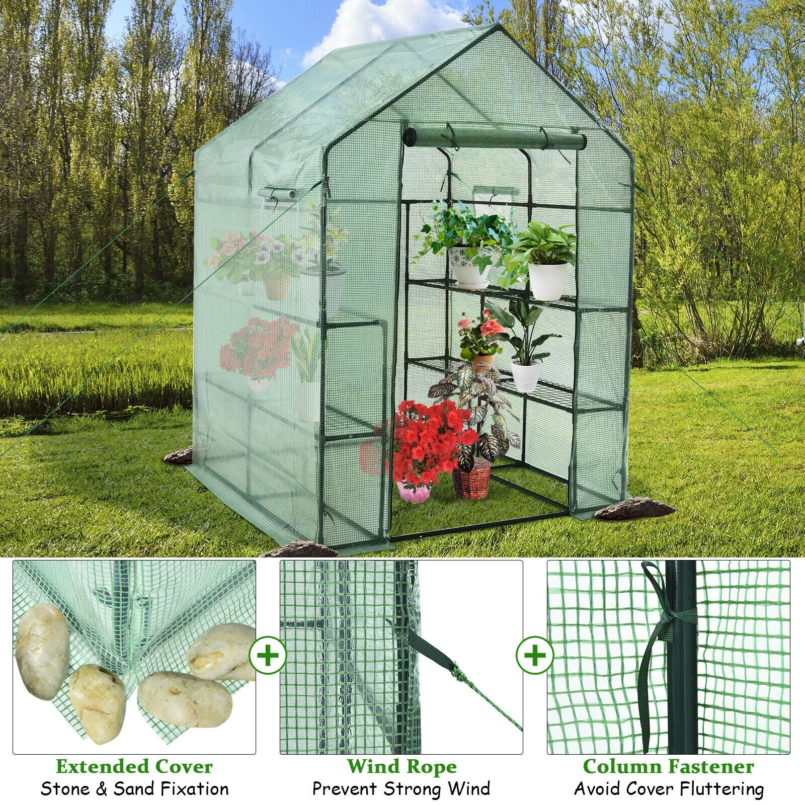 Walk-In Greenhouse, 56 x 56 x 77 Inch, Observation Windows, Green Greenhouses at Gallery Canada