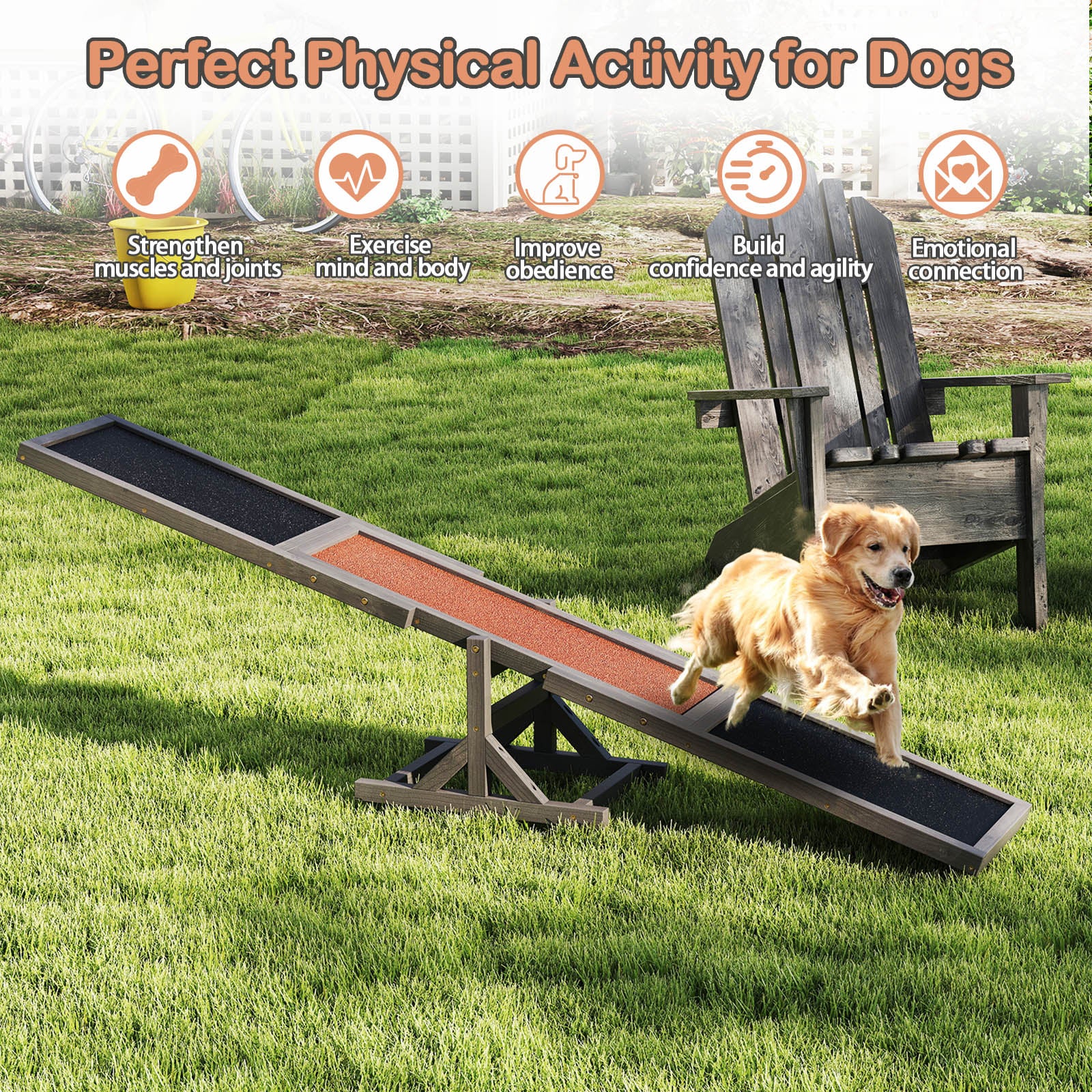 Wooden Dog Agility Seesaw, Outdoor Run Game Toy, Gray Dog Supplies at Gallery Canada