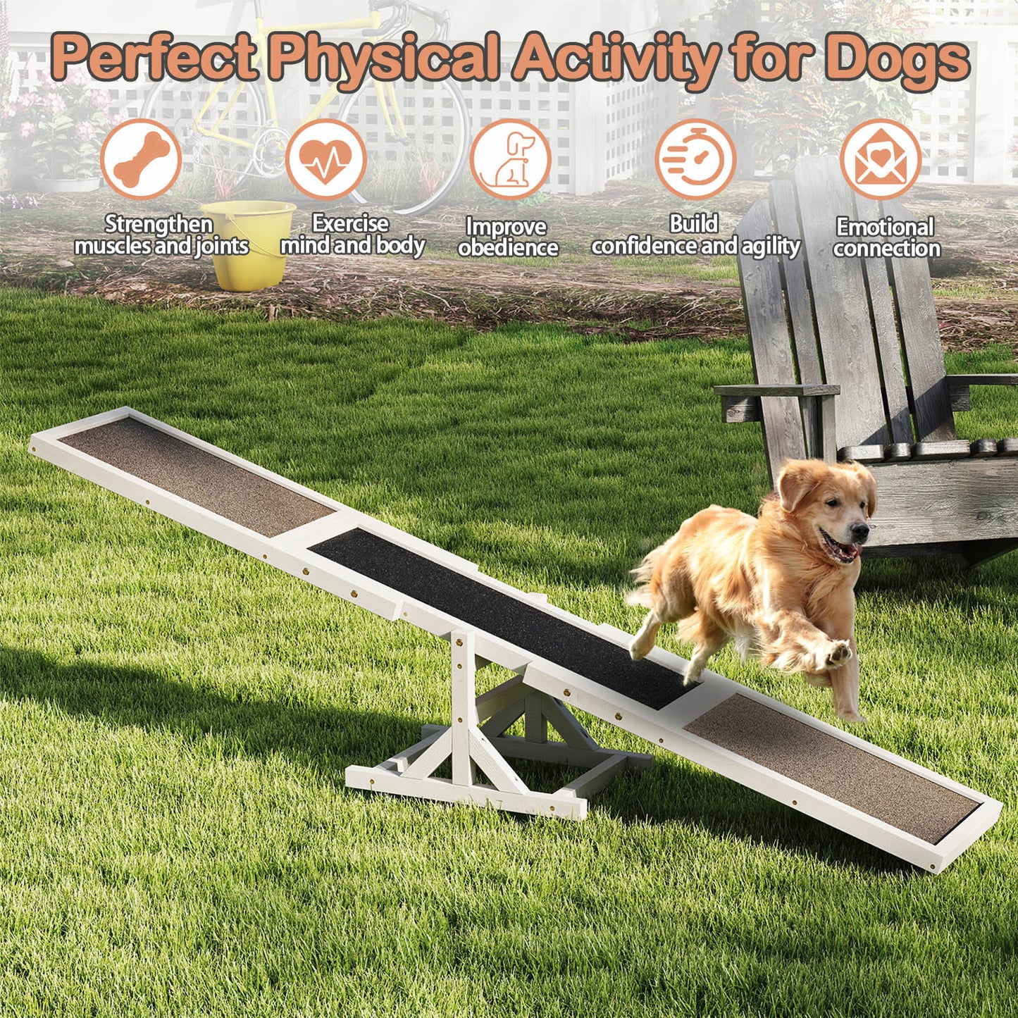Wooden Dog Agility Seesaw, Outdoor Obstacle Course Toy, White Dog Supplies at Gallery Canada