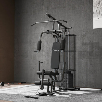 Multifunction Home Gym, 100Lbs Weight Stack, Lat Pulldown, Leg Extensions, Black Power Towers at Gallery Canada