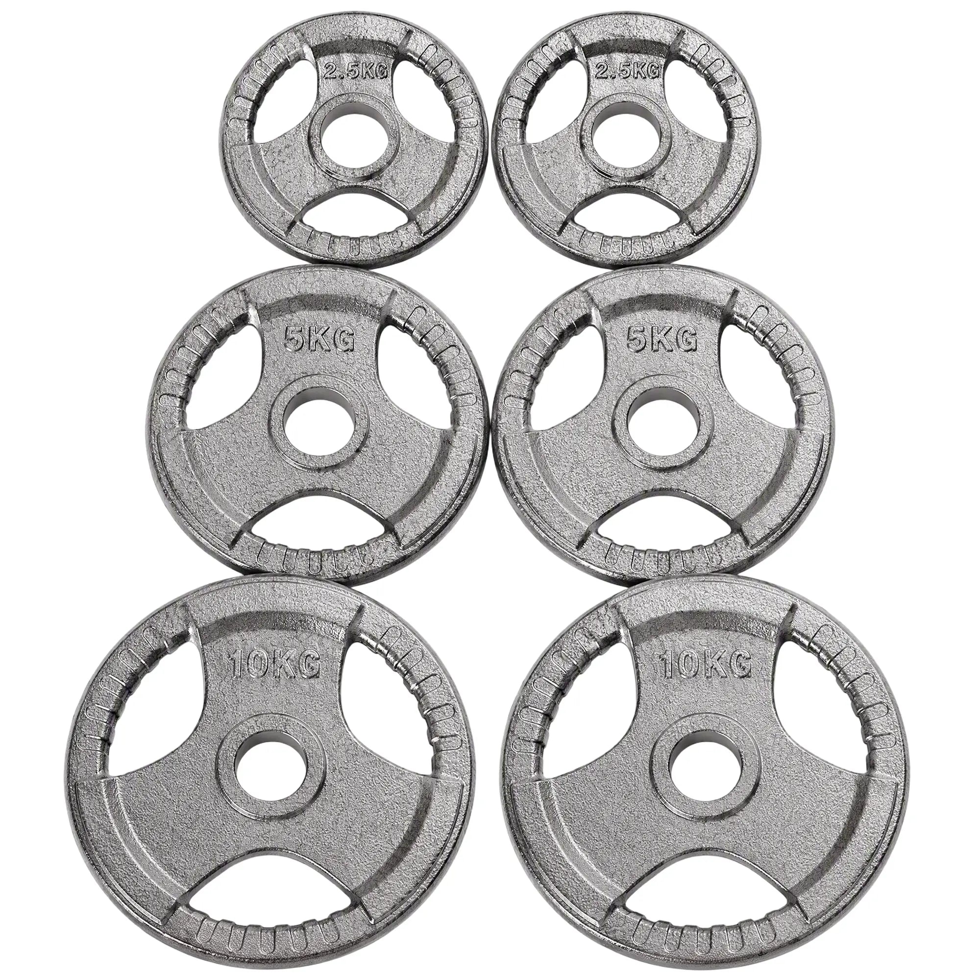 6 PCS Weight Plates, Grip Plate Set, Strength Training, 77 Lbs Dumbbells & Barbells at Gallery Canada